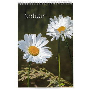 KALENDER