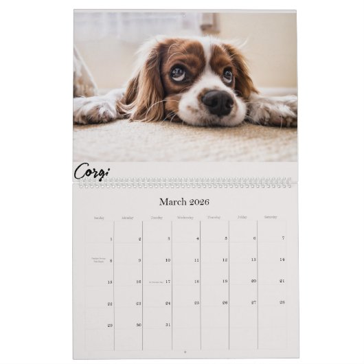 Kalender (Mär 2026)