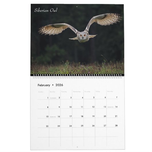 Kalender (Feb 2026)
