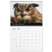 Kalender (Mär 2027)