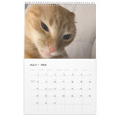 Kalender (Mär 2026)