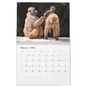 Kalender (Feb 2026)