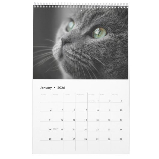 Kalender (Jan 2026)