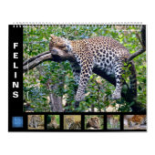 Kalender (Titelbild)