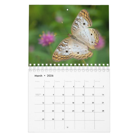 Kalender (Mär 2026)