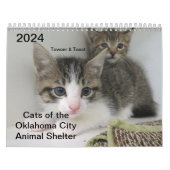 Kalender (Titelbild)