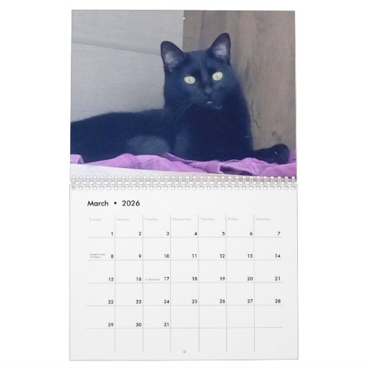 Kalender (Mär 2026)