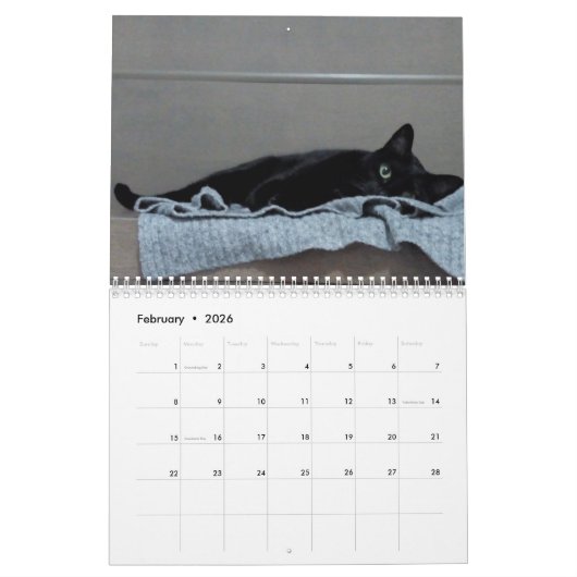 Kalender (Feb 2026)