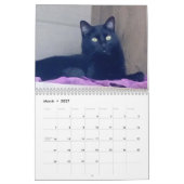 Kalender (Mär 2027)