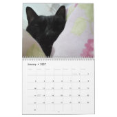 Kalender (Jan 2027)