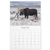 Kalender (Jan 2026)