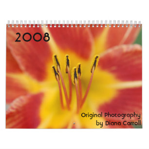 Kalender 2008 durch Diana Carroll