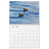 Kalender 2008 durch Diana Carroll (Mär 2027)