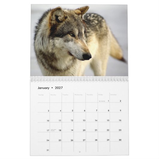 Kalender 2009 (Jan 2027)