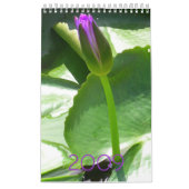 Kalender 2009 (Titelbild)