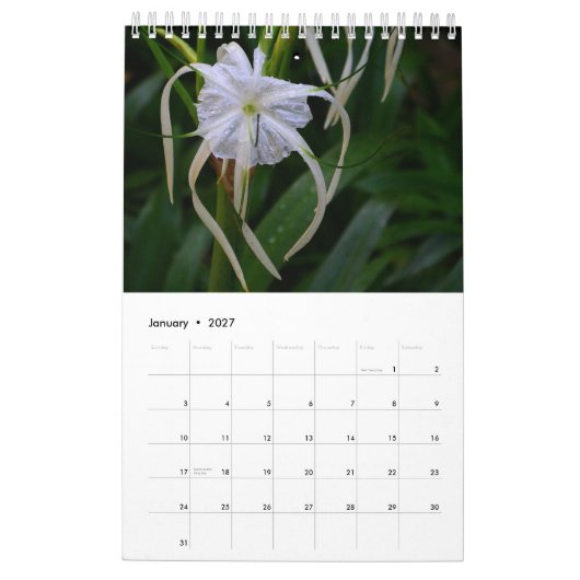 Kalender 2009 (Jan 2027)