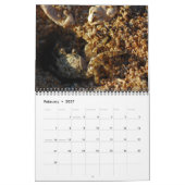 Kalender 2009 (Feb 2027)