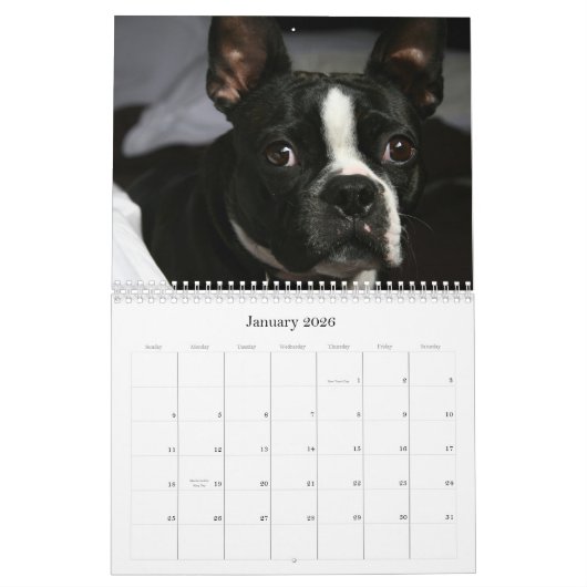 Kalender 2009 Bostons Terrier (Jan 2026)