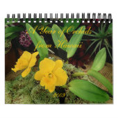 Kalender 2009: Ein Jahr der Orchideen von Hawaii (Titelbild)