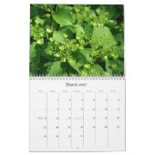 Kalender 2009 photgraphed von Stacey Morris (Mär 2027)