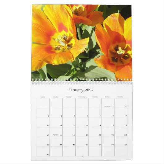 Kalender 2009 photgraphed von Stacey Morris (Jan 2027)
