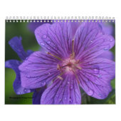 Kalender 2009 photgraphed von Stacey Morris (Titelbild)