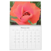 Kalender 2009 photgraphed von Stacey Morris (Feb 2026)