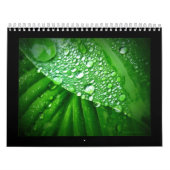 Kalender 2010 (Titelbild)