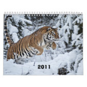 Kalender 2011 (Titelbild)