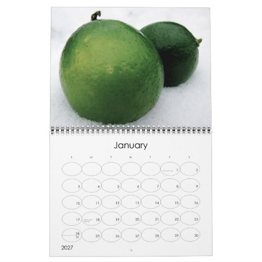 Kalender 2011 (Jan 2027)