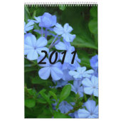 Kalender 2011 (Titelbild)