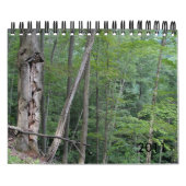 Kalender 2011 (Titelbild)