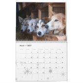 Kalender 2011 (2010 HERAUF 200) (Mär 2027)
