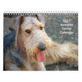 Kalender 2011 Airedales Terrier (Titelbild)