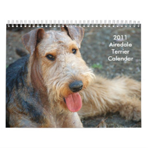 Kalender 2011 Airedales Terrier
