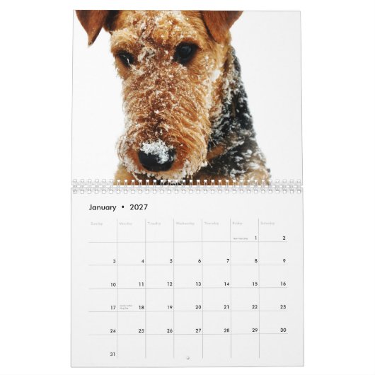 Kalender 2011 Airedales Terrier (Jan 2027)