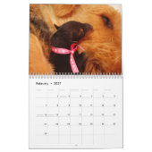 Kalender 2011 Airedales Terrier (Feb 2027)
