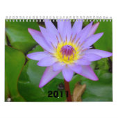 Kalender, 2011 kalender (Titelbild)