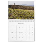 Kalender 2011; Western Landschaften (überwiegend) (Mär 2027)