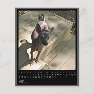 Kalender 2012