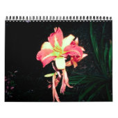 Kalender 2012 (Titelbild)