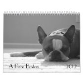 Kalender 2012 Bostons Terrier (Titelbild)