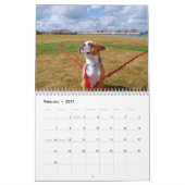 Kalender 2012 Bostons Terrier (Feb 2027)