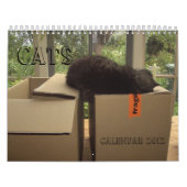 Kalender 2012 - Katzen (Titelbild)