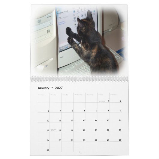 Kalender 2012 - Katzen (Jan 2027)
