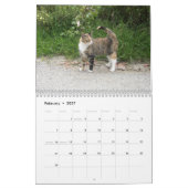 Kalender 2012 - Katzen (Feb 2027)