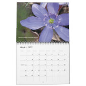 Kalender 2012 Neu-England von der wilden (Mär 2027)