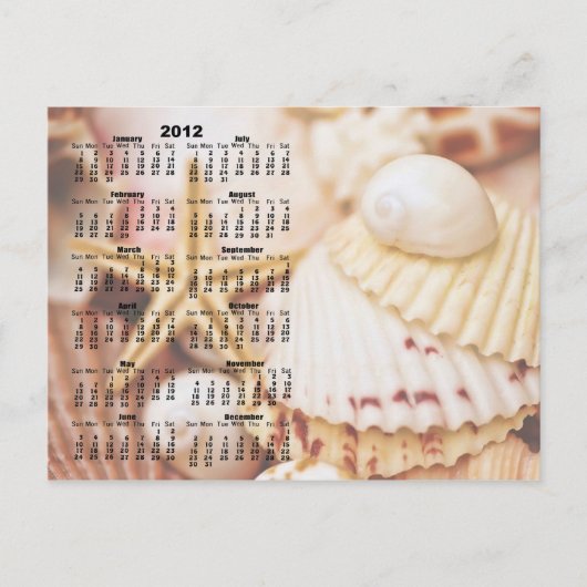 Kalender 2012 - Seashell Postkarte (Vorderseite)