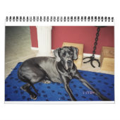 Kalender 2012 van SundayStyle Edition (Titelbild)