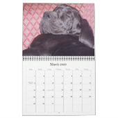 Kalender 2012 van SundayStyle Edition (Mär 2026)